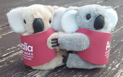 Clip-on koala toys 2 inch. In custom printed juckets. Promotional gift